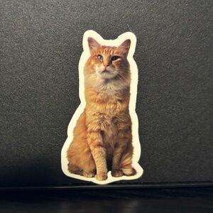 ORANGE CAT STICKER